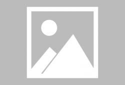 91花季直播,青春绽放，网络新风尚