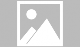 动漫画动物,漫绘中的动物传奇